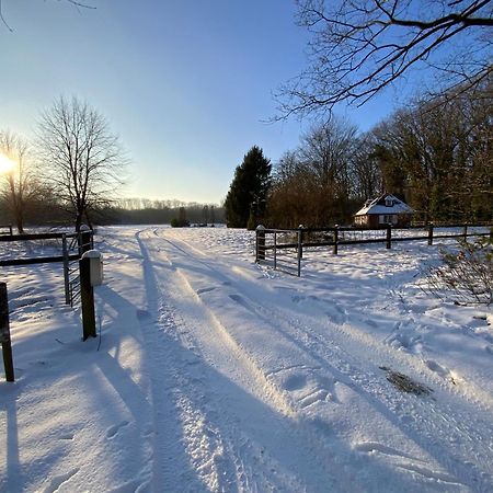 Vakantiewoning Heidebos In Het Nationaal Park Hoge Kempen Opglabbeek Bagian luar foto