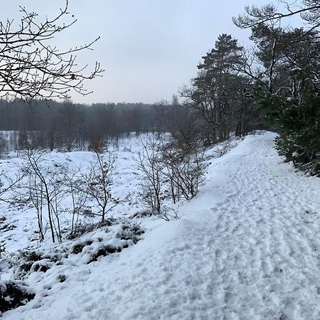 Vakantiewoning Heidebos In Het Nationaal Park Hoge Kempen Opglabbeek Bagian luar foto