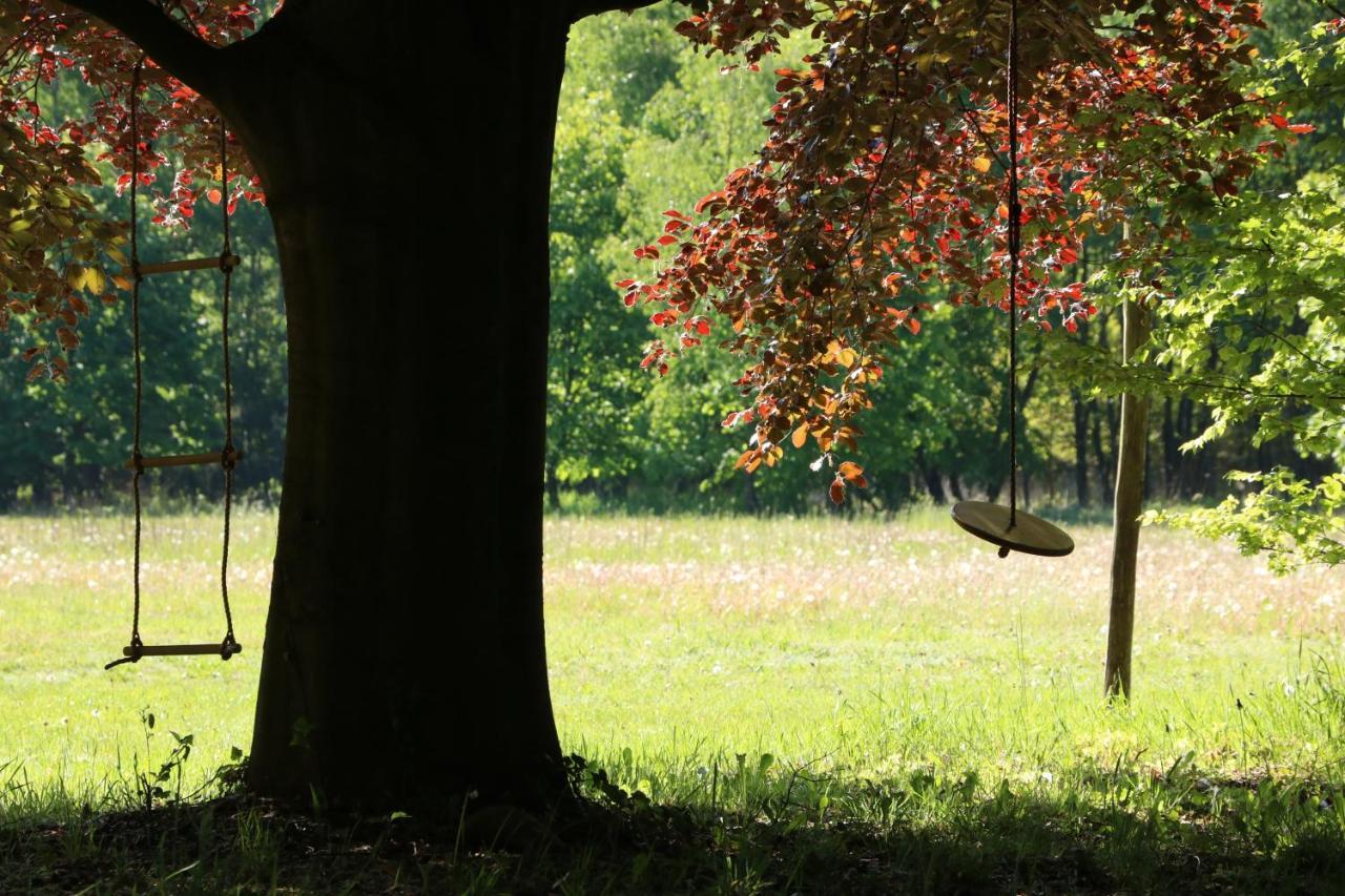 Vakantiewoning Heidebos In Het Nationaal Park Hoge Kempen Opglabbeek Bagian luar foto