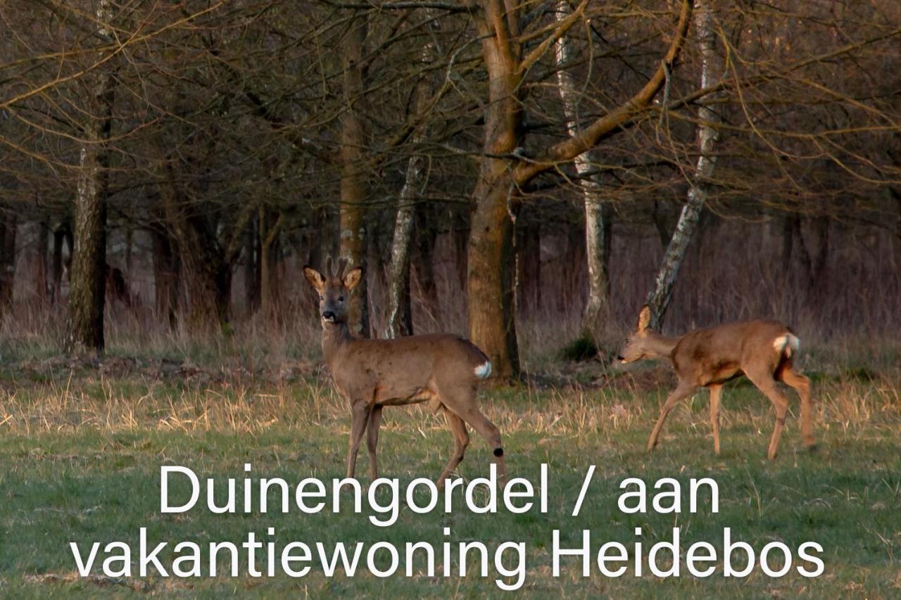 Vakantiewoning Heidebos In Het Nationaal Park Hoge Kempen Opglabbeek Bagian luar foto