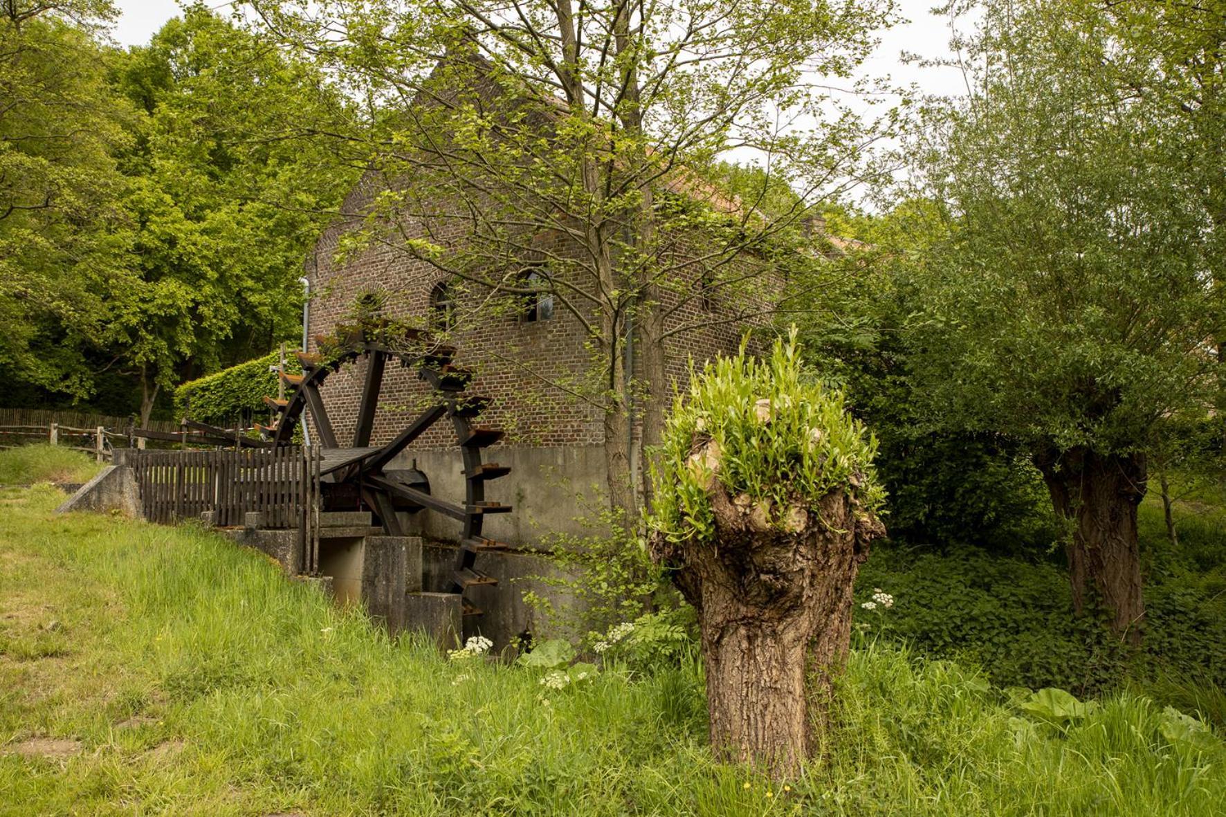 Vakantiewoning Heidebos In Het Nationaal Park Hoge Kempen Opglabbeek Bagian luar foto