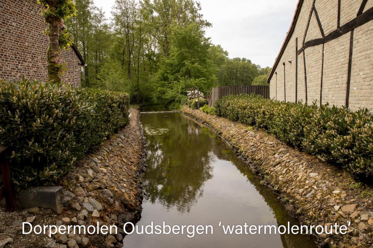 Vakantiewoning Heidebos In Het Nationaal Park Hoge Kempen Opglabbeek Bagian luar foto
