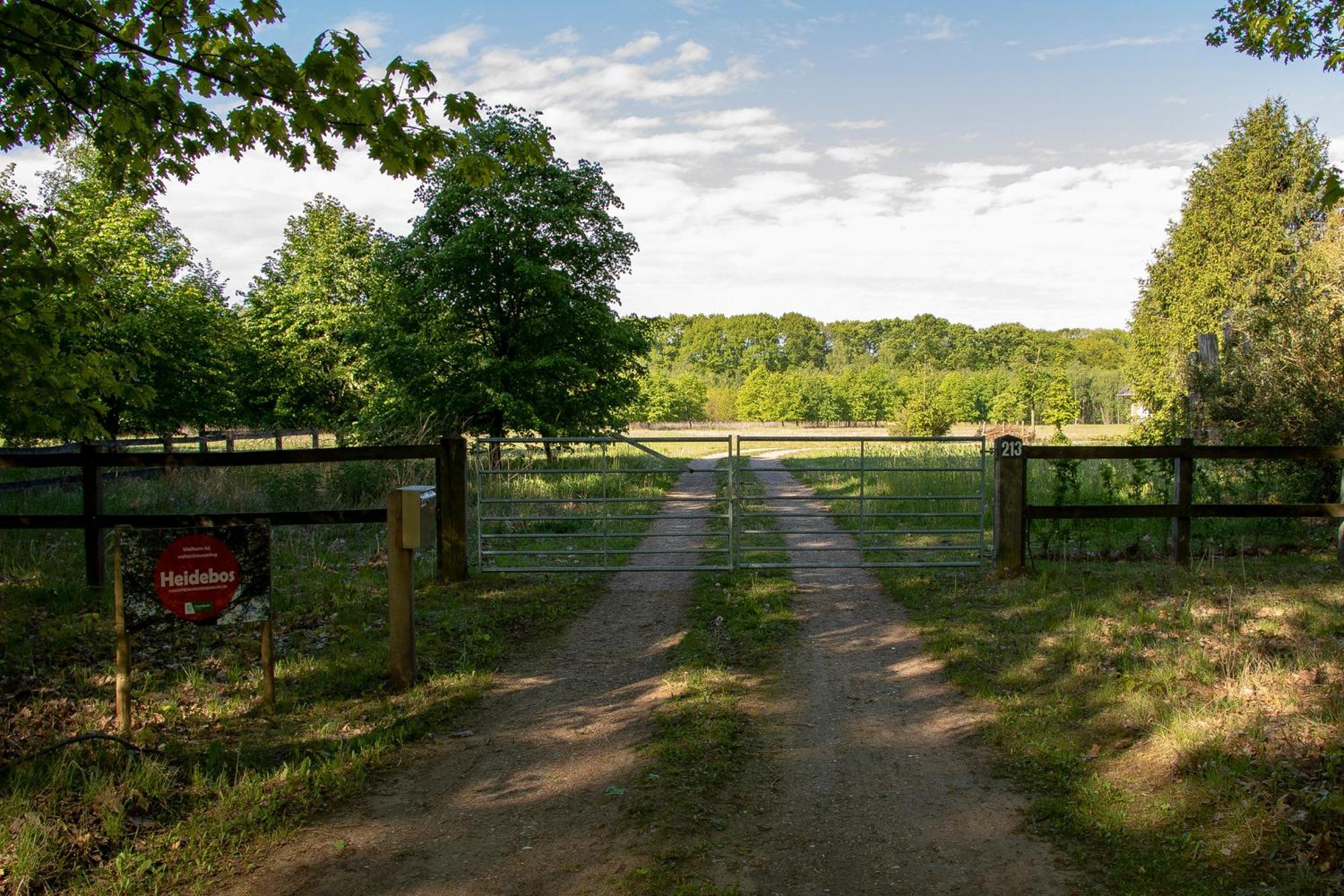 Vakantiewoning Heidebos In Het Nationaal Park Hoge Kempen Opglabbeek Bagian luar foto