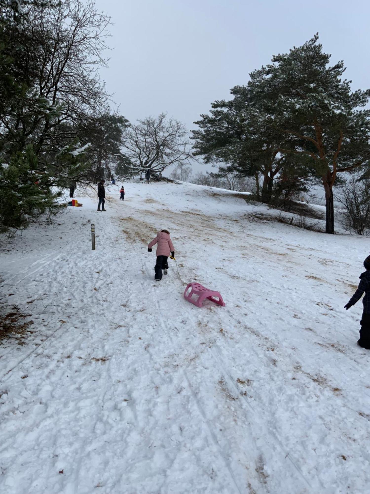 Vakantiewoning Heidebos In Het Nationaal Park Hoge Kempen Opglabbeek Bagian luar foto