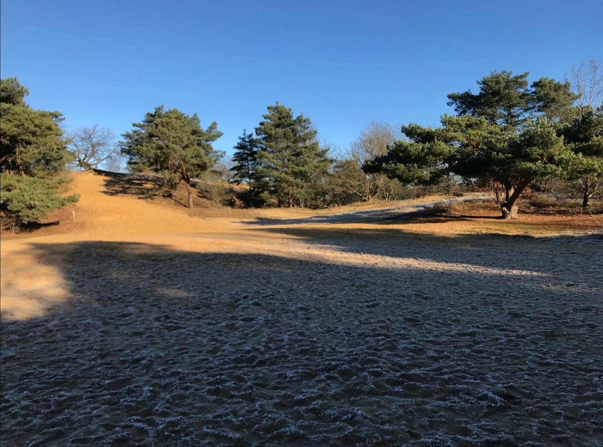 Vakantiewoning Heidebos In Het Nationaal Park Hoge Kempen Opglabbeek Bagian luar foto