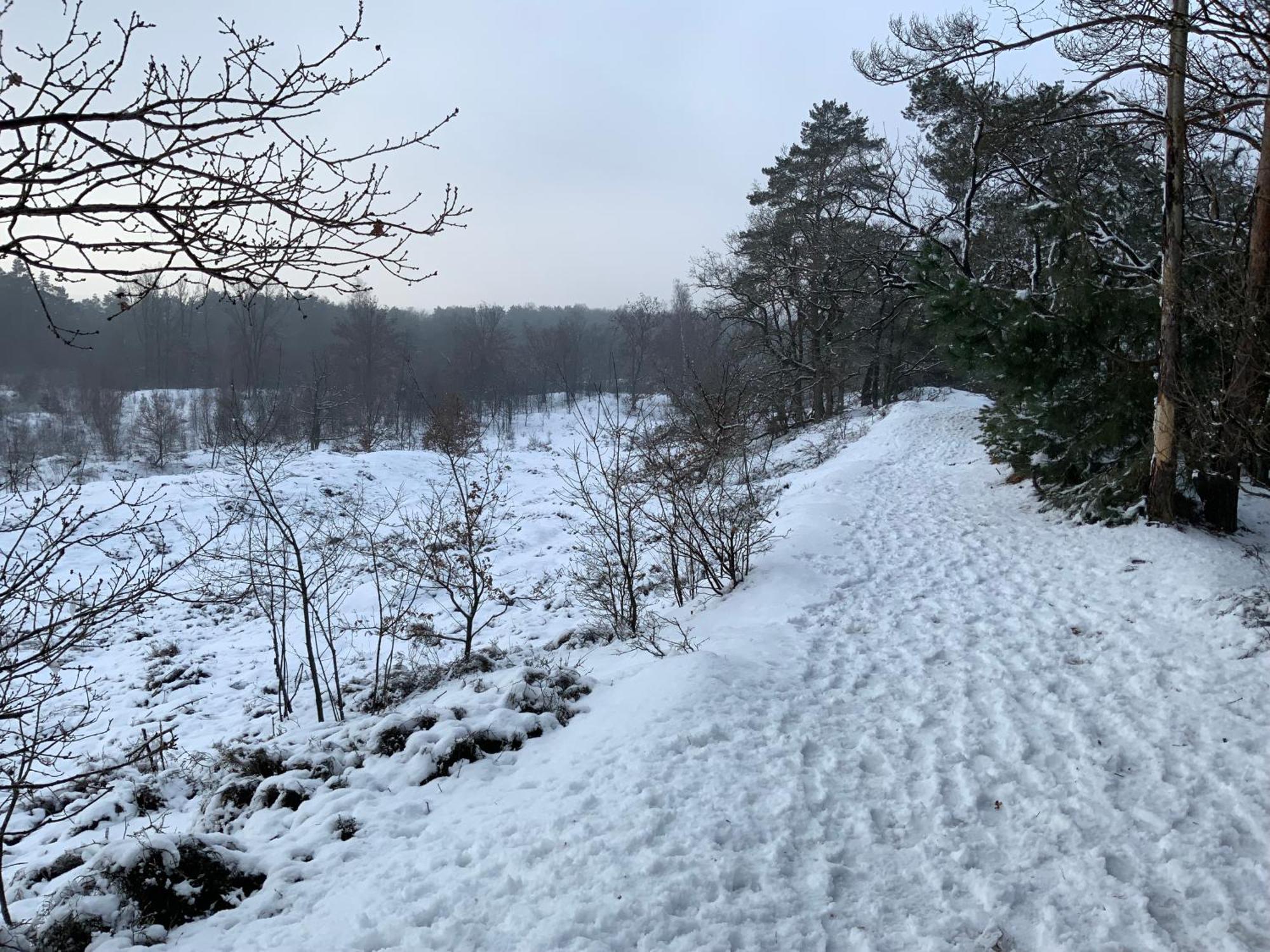 Vakantiewoning Heidebos In Het Nationaal Park Hoge Kempen Opglabbeek Bagian luar foto
